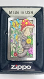Zippo Color Image Brushed Chrome 48635