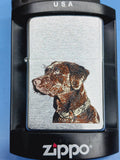 Zippo Chocolate Labrador Brushed Chrome 21091