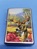 Zippo Linda Picken Buck Street Chrome 28007