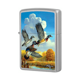 Zippo Linda Picken Autumn colors Street Chrome 28009