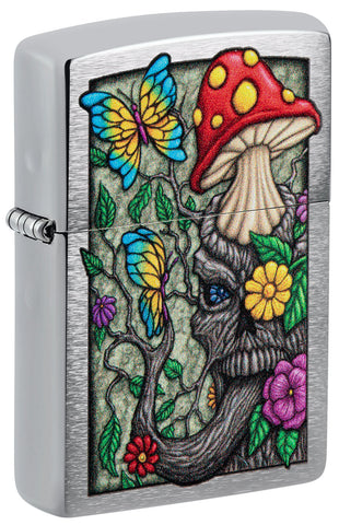 Zippo Color Image Brushed Chrome 48635