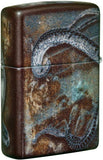 Zippo Pirate Coin 540 Color 49434