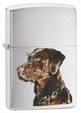 Zippo Chocolate Labrador Brushed Chrome 21091