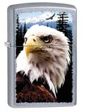 Zippo Bald Eagle Street Chrome 28462