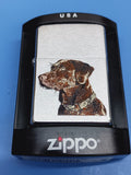 Zippo Chocolate Labrador Brushed Chrome 21091