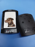 Zippo Chocolate Labrador Brushed Chrome 21091