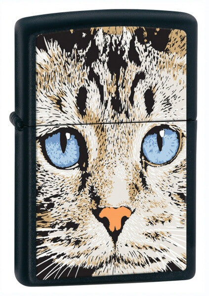 John Heywood Quote: “A cat may look at a king.”